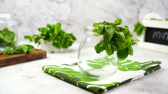 5 ideias de títulos:
1. Hortelã Fresca por Mais Tempo: Guia Completo de Conservação
2. Congelando Hortelã: A Melhor Forma de Preservar o Sabor
3. Geladeira vs. Congelador: Qual o Melhor Método para Sua Hortelã?
4. Dicas de Ouro para Higienizar e Armazenar Hortelã
5. Cubos de Gelo de Hortelã: Surpreenda em Sucos e Receitas