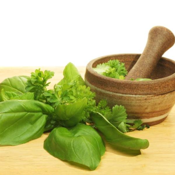 Como conservar manjericão fresco