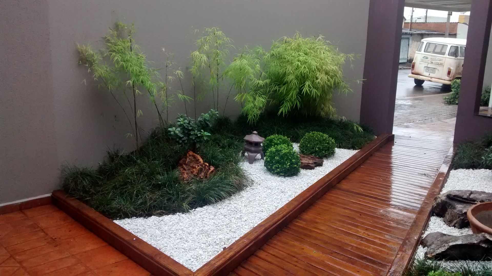 As melhores plantas de baixa manutenção para jardins de pedras