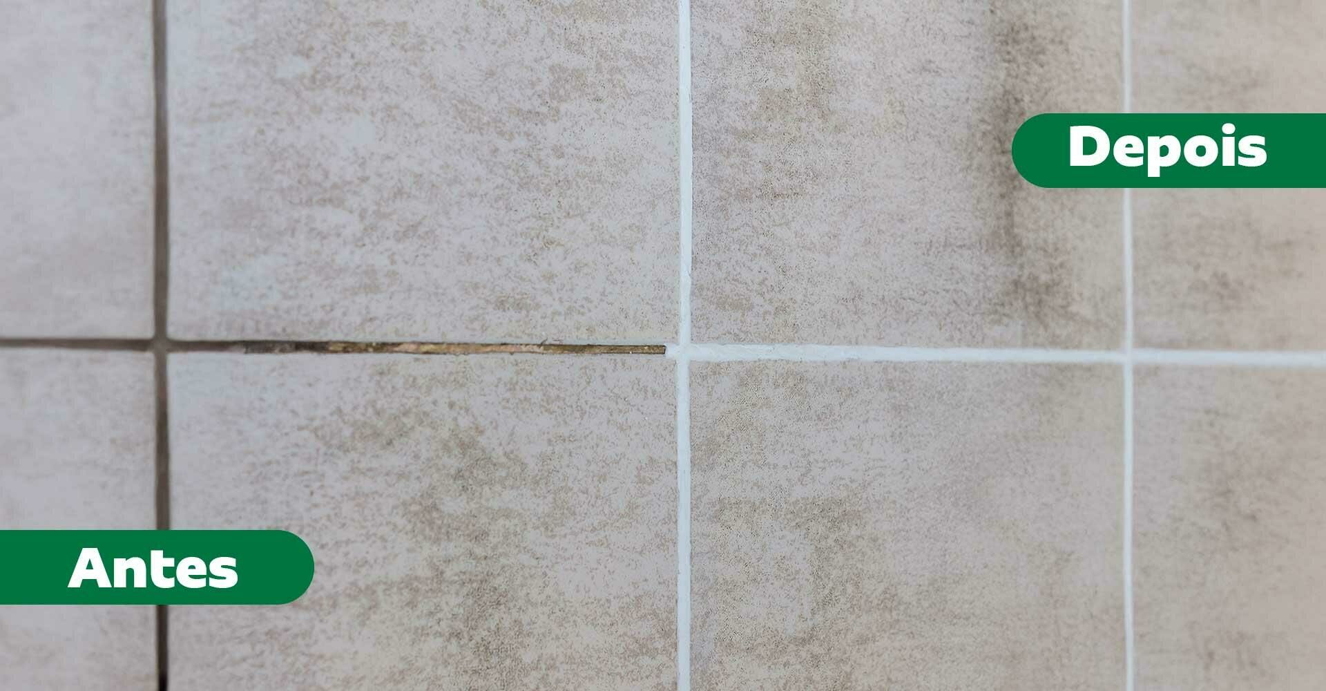 Guia Completo: Como Prevenir o Mofo no Rejunte do Banheiro