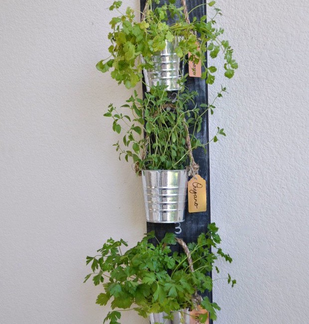 5 ideias de títulos:
1. Guia Completo: Como Plantar e Cuidar de Endro em Casa
2. Endro em Vasos: Dicas Essenciais para um Cultivo de Sucesso
3. Da Semente à Colheita: Tudo Sobre o Cultivo de Aneto
4. Os Segredos do Endro: Luz