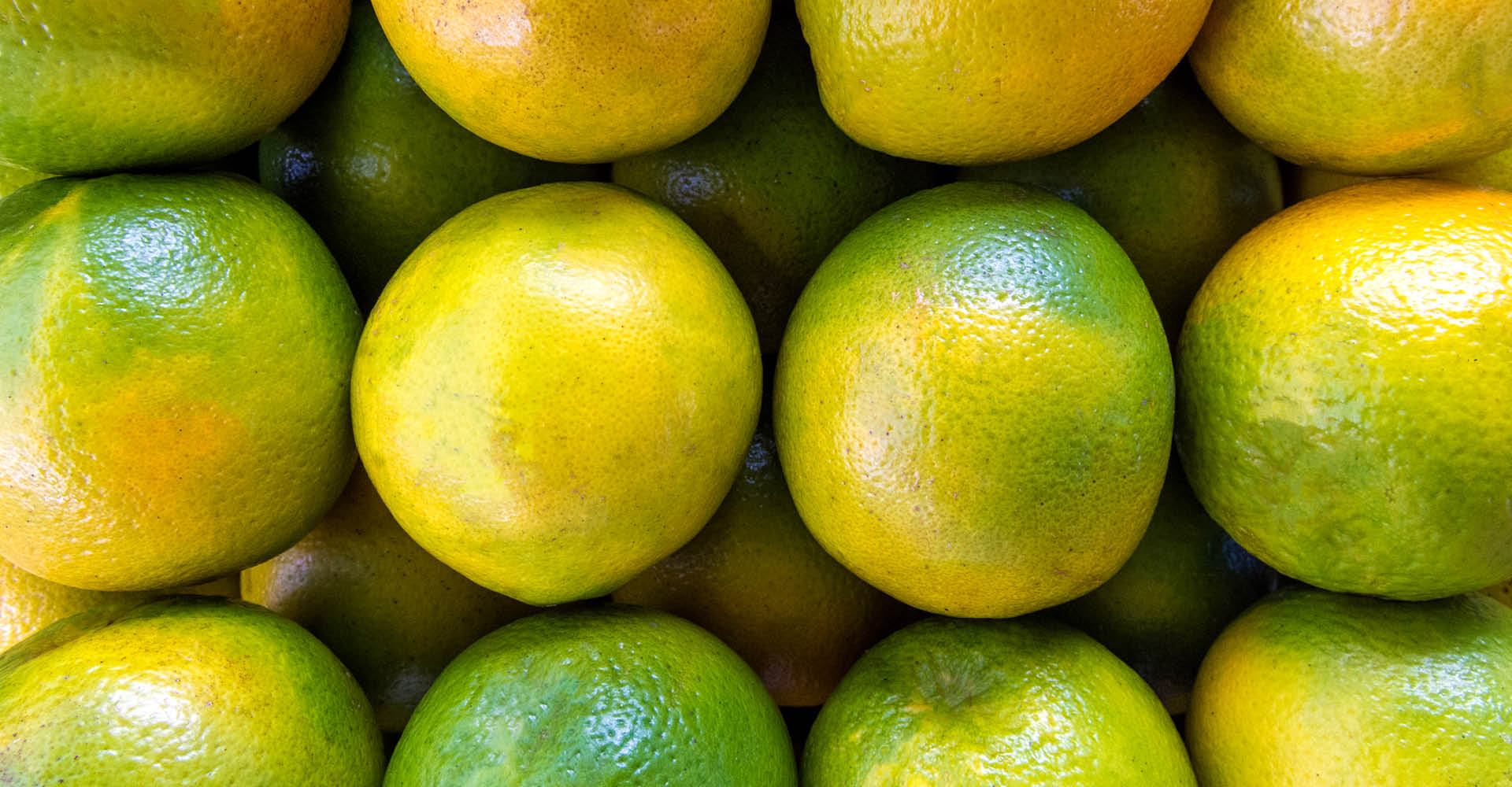 Armazenamento ideal de laranjas para manter a frescura