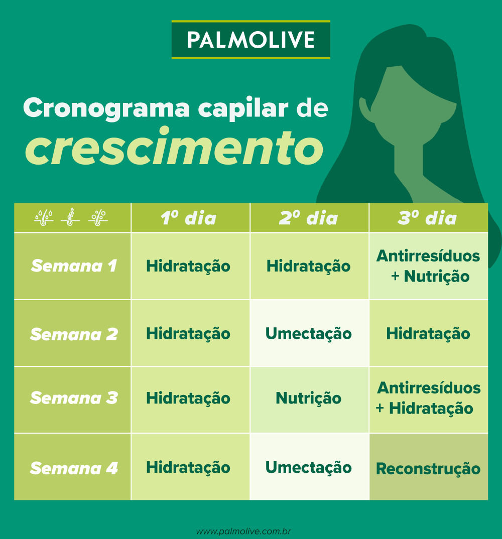 cronograma capilar vs tratamento profissional