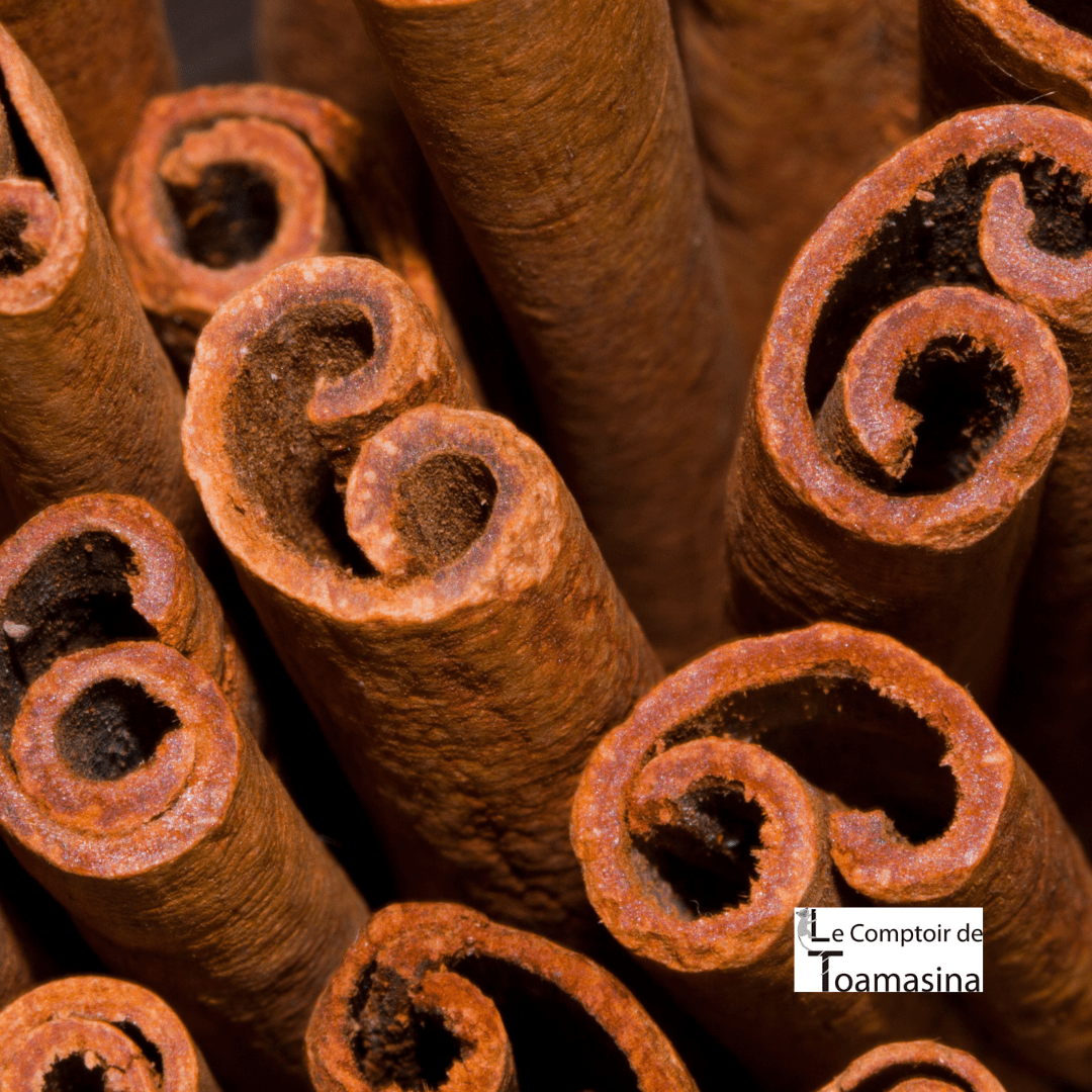 O poder termogênico da canela: como usar para emagrecer