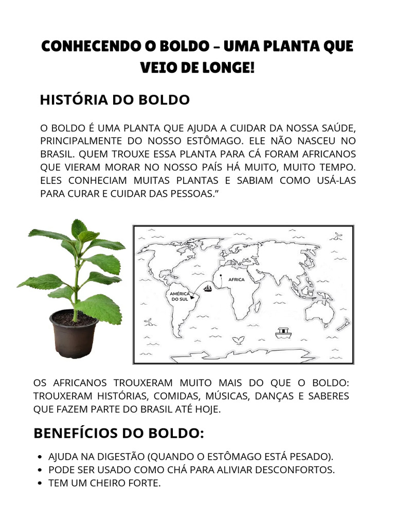 Boldo na Umbanda: O Poder do Tapete de Oxalá para Limpeza Energética