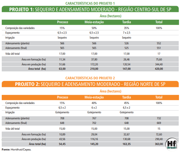 custo de implantação de um hectare de citros