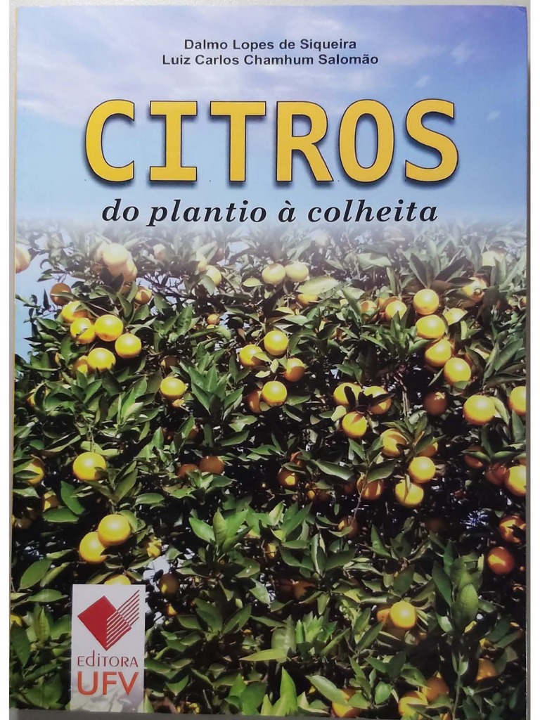 5 ideias de títulos:
1. Custo de Implantação de Citros: Guia Completo para 2025/26
2. Sequeiro vs. Irrigado: Qual o Custo Real de um Hectare de Laranjas?
3. Greening e Insumos: Como a Alta de Custos Afeta a Citricultura
4. Desmistificando o Investimento: Composição dos Custos de um Pomar de Laranjas
5. Planejamento Financeiro para Citricultores: Custos e Período de Carência