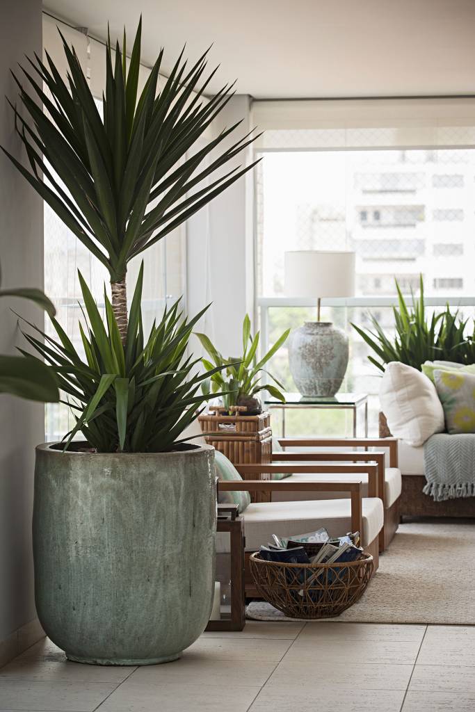 Decoração Boho e Escandinava com Vasos: Dicas e Inspirações