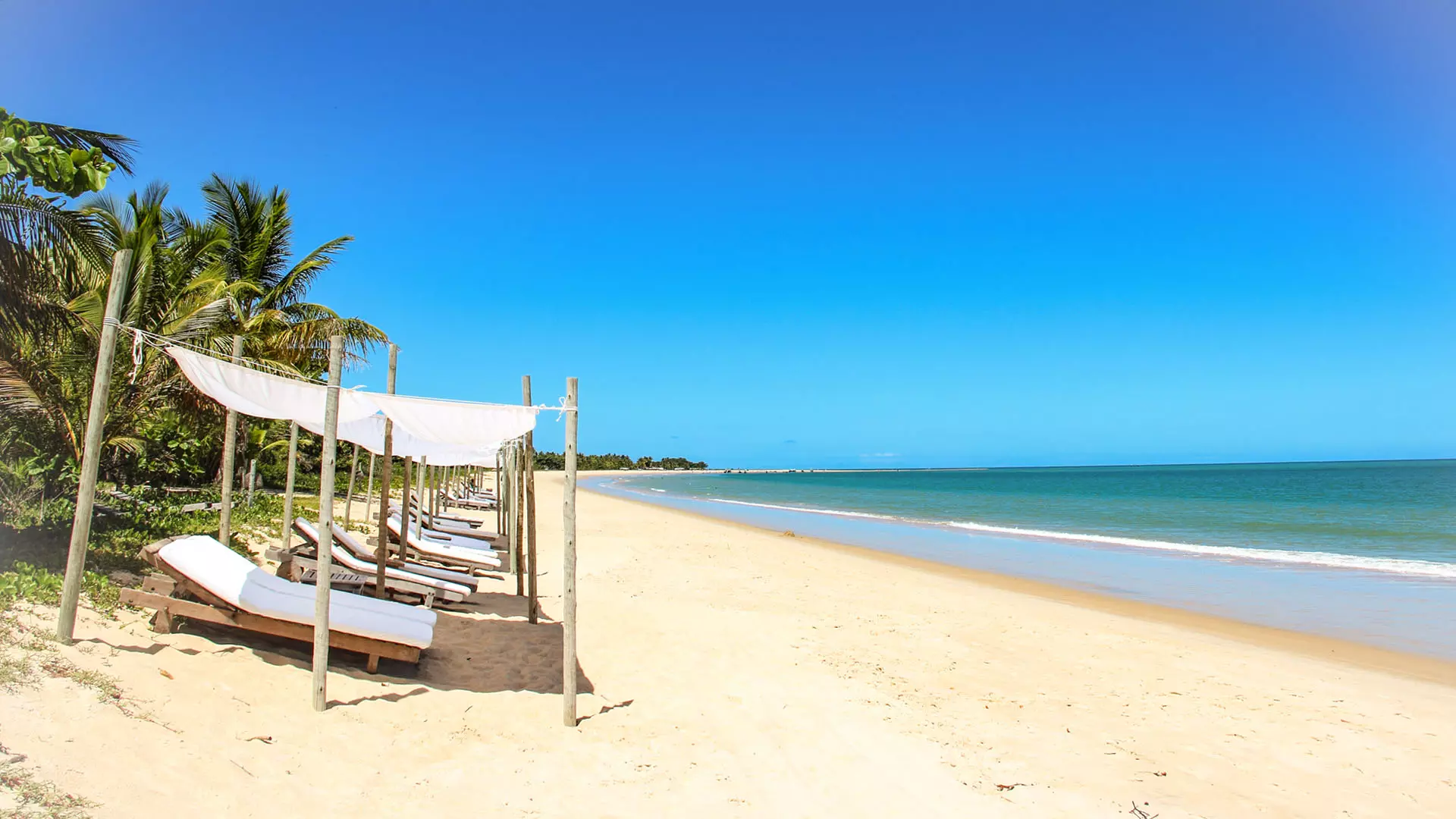 Carnaval em Porto Seguro 2026: Programação Cultural e Blocos de Rua