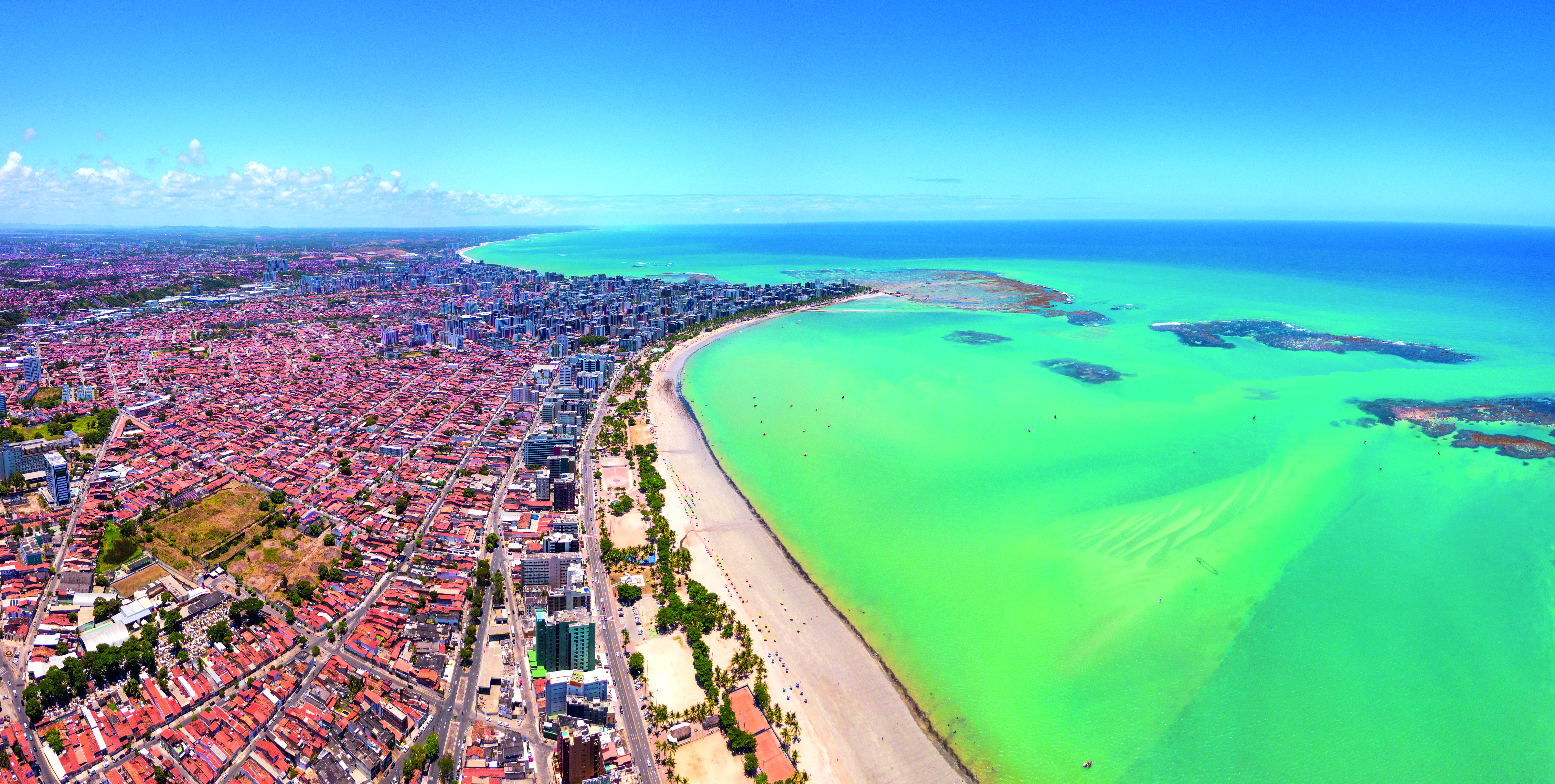 Expoflora 2026: Tudo sobre o maior festival de flores em Holambra