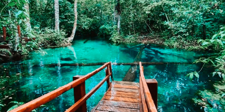 Nordeste em setembro: As melhores praias para aproveitar o sol no feriado