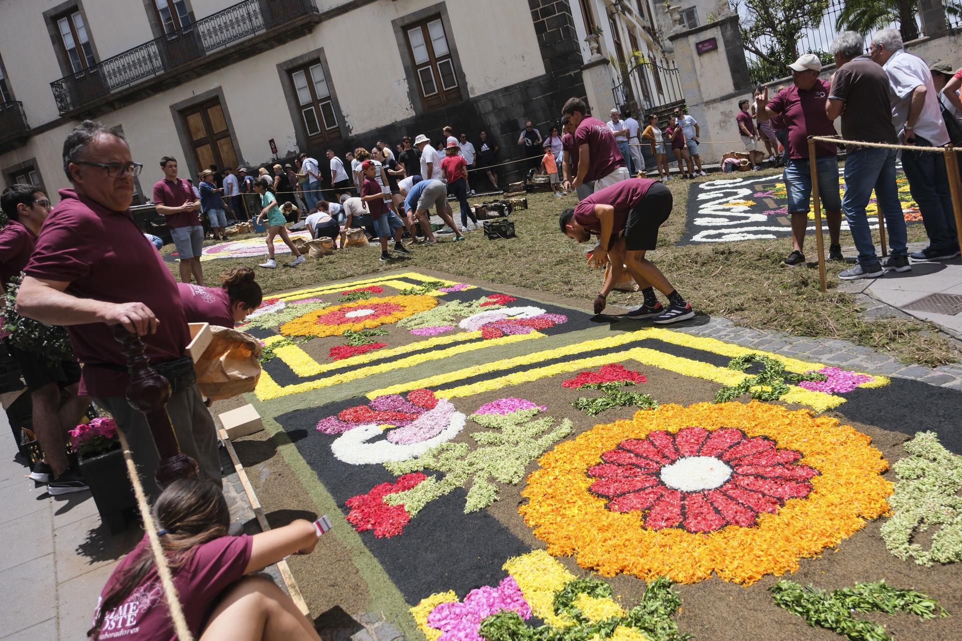 Inverno no Brasil: Campos do Jordão vs. Gramado para o Feriado de Corpus Christi
