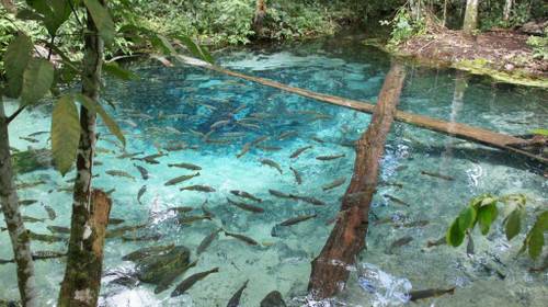 destinos para relaxar no Brasil