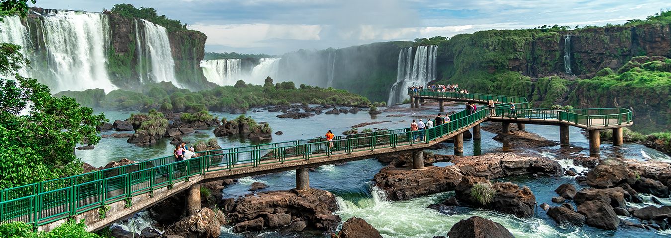 Pantanal na Seca: Dicas para um Safari Fotográfico Inesquecível