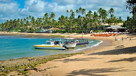 Pantanal na Seca: Dicas para um Safari Fotográfico Inesquecível