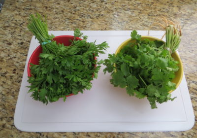Como Conservar Coentro e Salsa Frescos por Mais Tempo