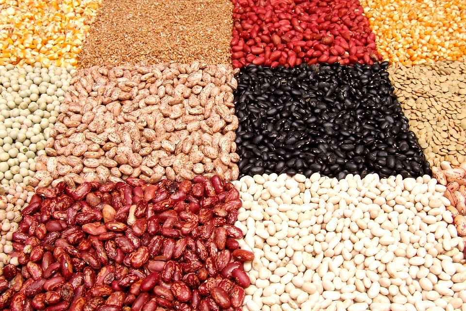 Alimentos para Anemia: Por Que a Lentilha é Essencial