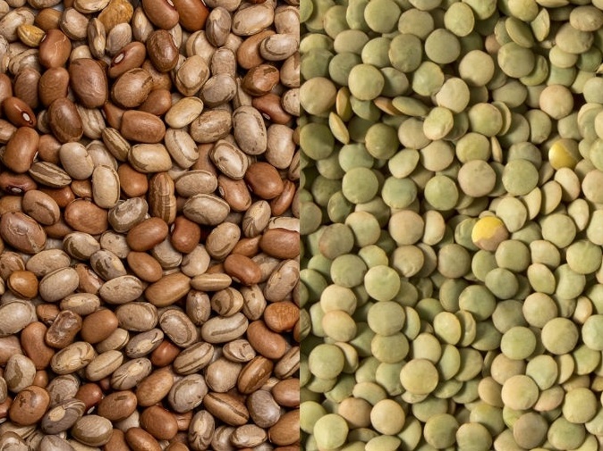 diferenca entre lentilha e ervilha