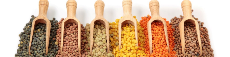 Lentilha: Guia Completo de Tipos e Preparo