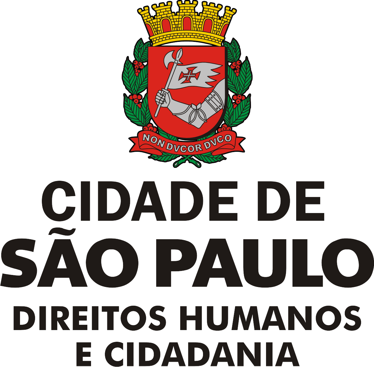 direitos humanos nas cidades SP