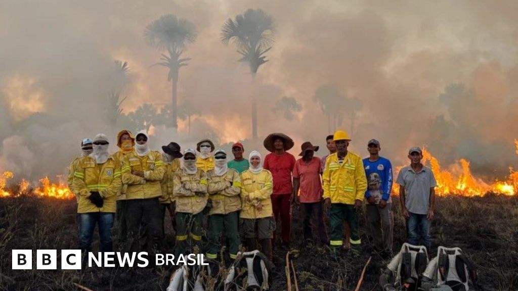 documentarios bbc jalapao