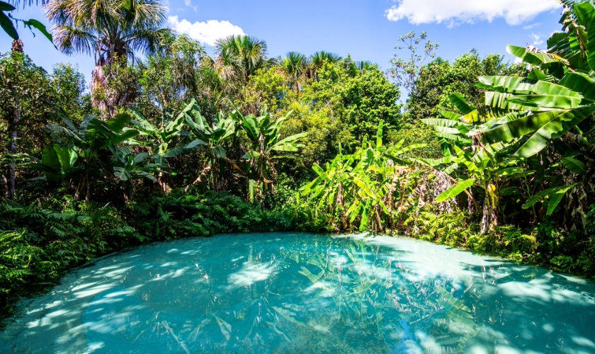 erros comuns ao assistir documentarios sobre o jalapao