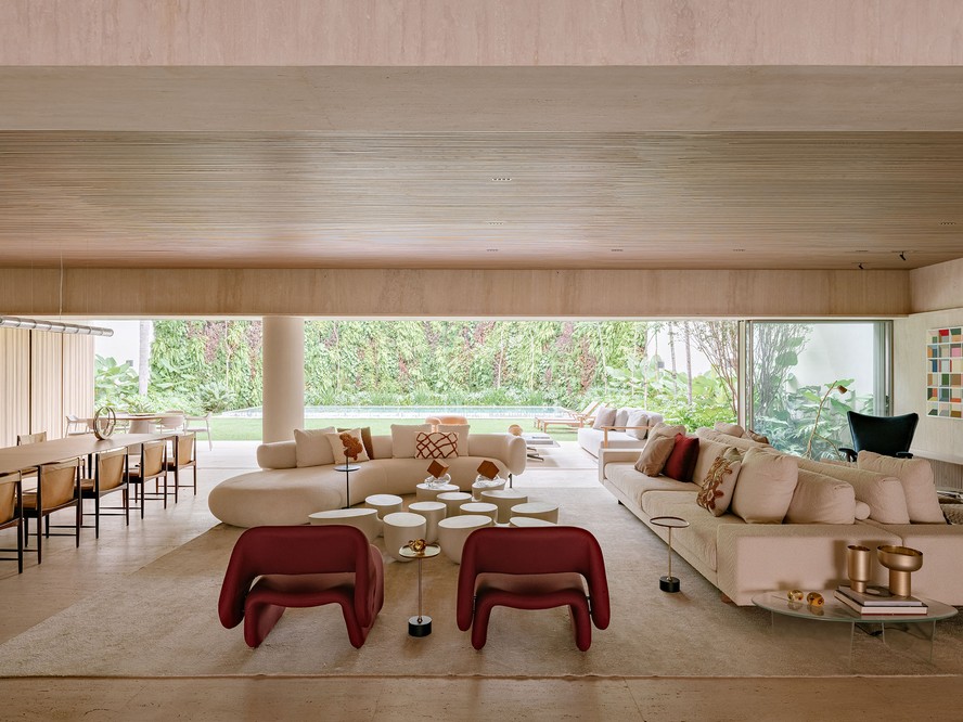 Mitos e Verdades sobre o Consumo de Sálvia por Grupos de Risco