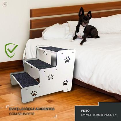 Como Prevenir Lesões Articulares em Cães: O Papel da Escada e Rampa Pet