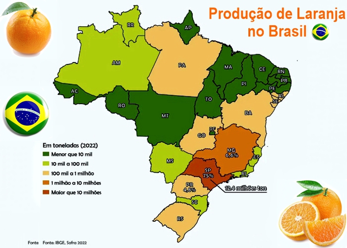 O Impacto do Cinturão Citrícola na Economia Brasileira