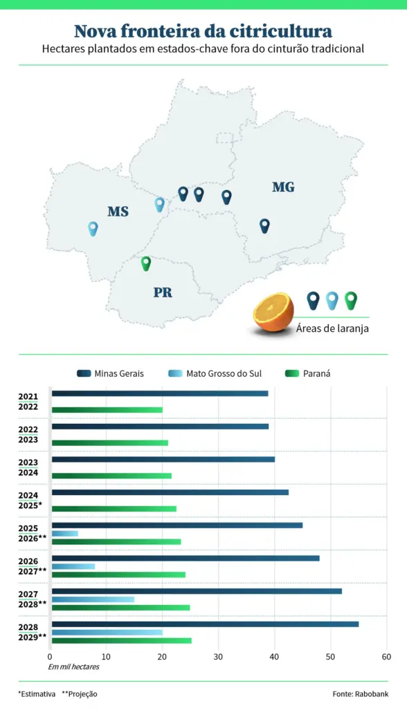 Perspectivas para a Safra de Laranja 2024-2025: Desafios e Oportunidades