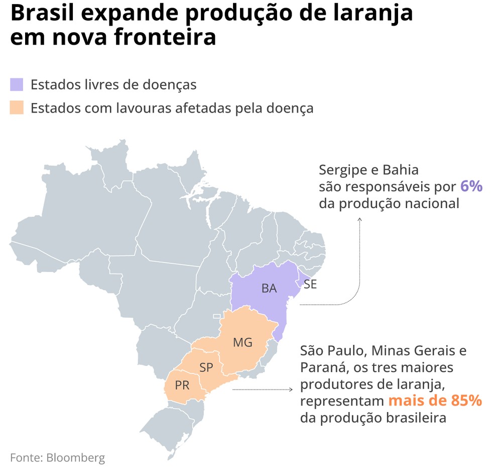 Como a Produção de Laranja em Minas Gerais Impulsiona o Triângulo Mineiro