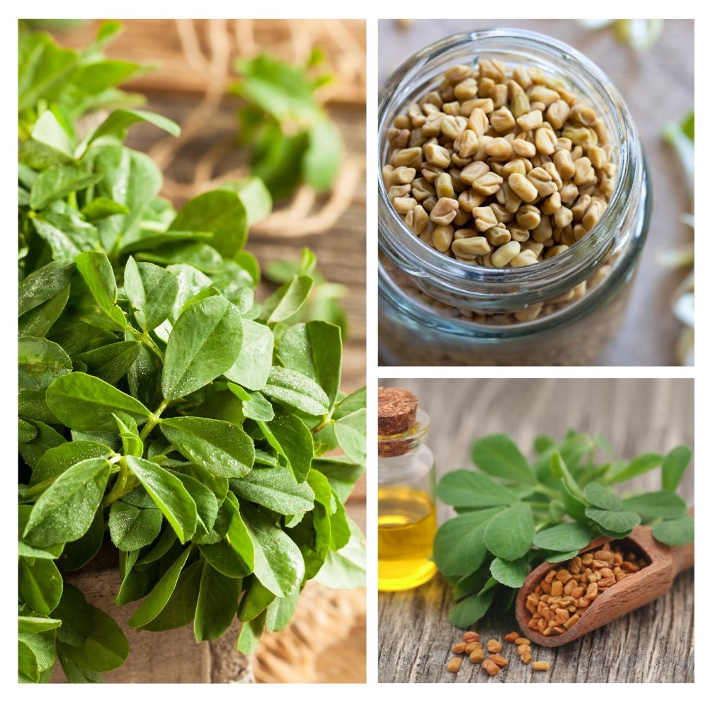 Contraindicações e Efeitos Colaterais do Feno-grego: O que Você Precisa Saber