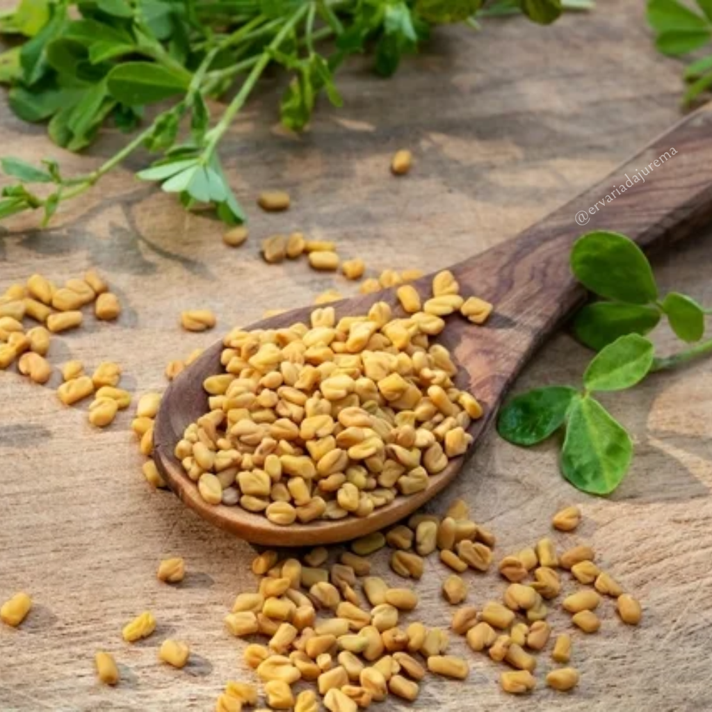 Feno-grego e Libido: Como o Suplemento Pode Ajudar Homens e Mulheres