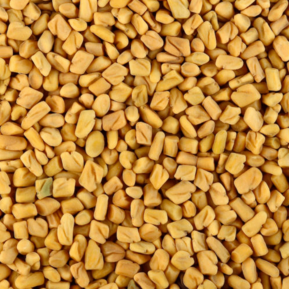 Feno-grego para Menopausa: Alívio dos Sintomas e Equilíbrio Hormonal