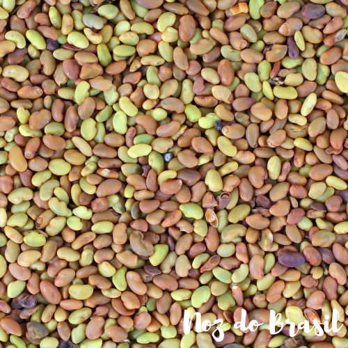 Feno-grego na Amamentação: Aumente a Produção de Leite Materno Naturalmente