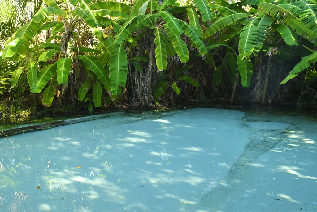 fervedouro macaúbas vs fervedouro buriti