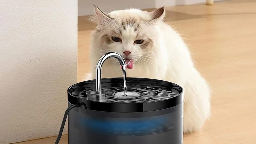melhores fontes de agua para gatos 2024