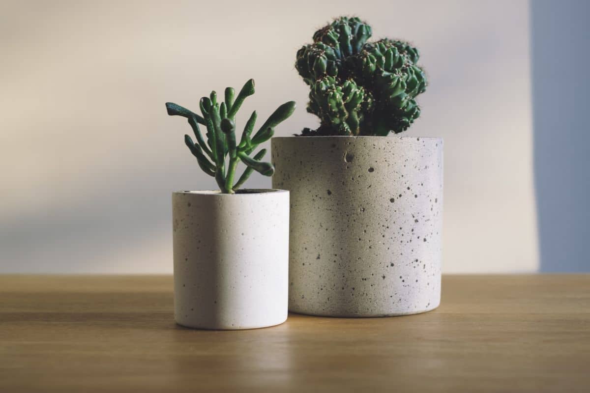 como fazer formas de silicone para vasos de cimento geométricos