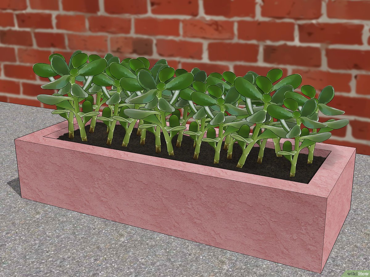 ideias de formas para vasos de cimento artesanais