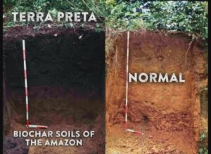 Guia Completo: Como Escolher o Fundo Preto Perfeito para Suas Fotos