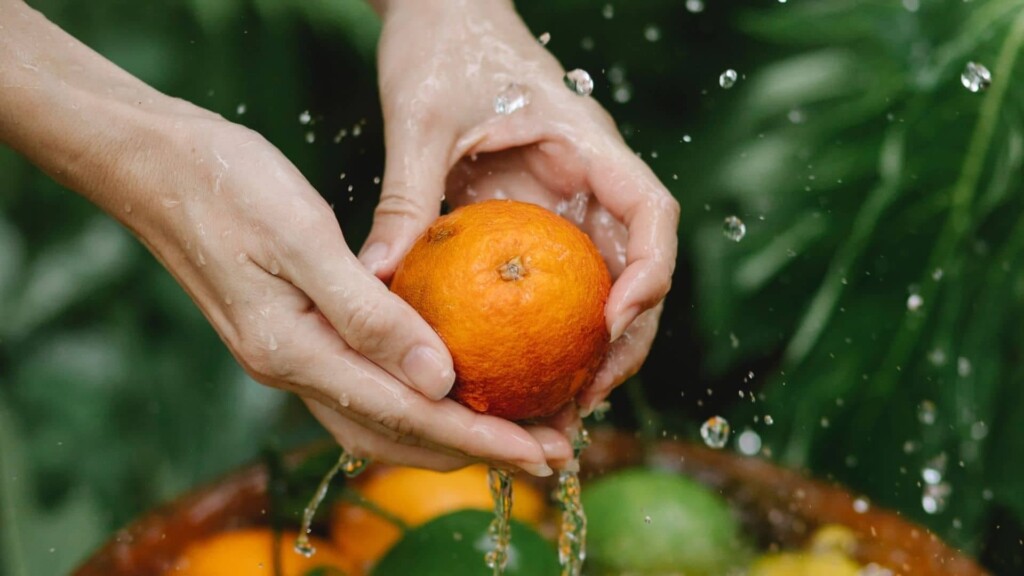 Greening (HLB): O Desafio que Redefine o Mapa da Laranja no Brasil