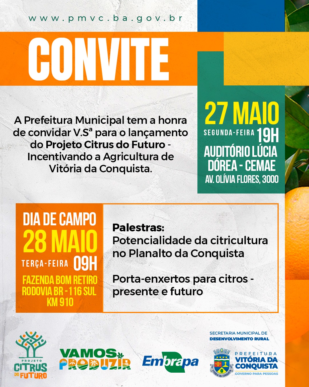 Nutrição Inteligente e Sustentabilidade: O Futuro dos Pomares de Laranja