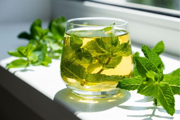 Como cultivar hortelã em casa: guia completo