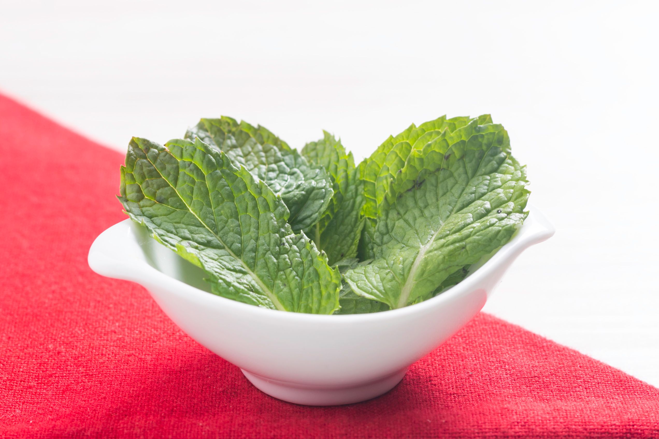 Hortelã e digestão: alívio natural para gases e náuseas