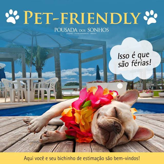 Como Escolher a Hospedagem Pet Friendly Ideal: O Que Observar Além do Preço