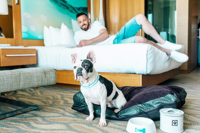 hospedagem pet friendly