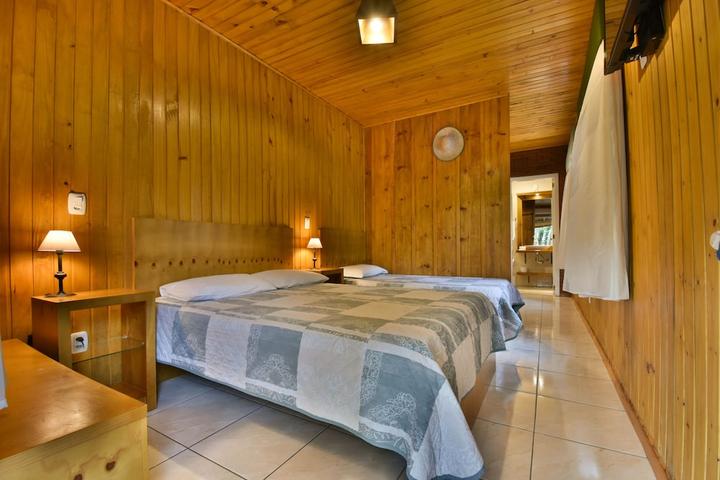 Guia Completo para Viajar com Seu Pet: Documentação e Dicas Essenciais