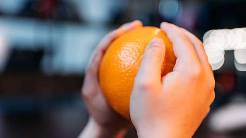 Guia Completo: Tabela Nutricional da Laranja Bahia e Dicas de Consumo