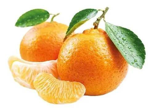 Nutrição e Nomes Regionais
3. Descubra os Benefícios da Laranja-Cravo para sua Saúde
4. Qual Tangerina Escolher? Cravo