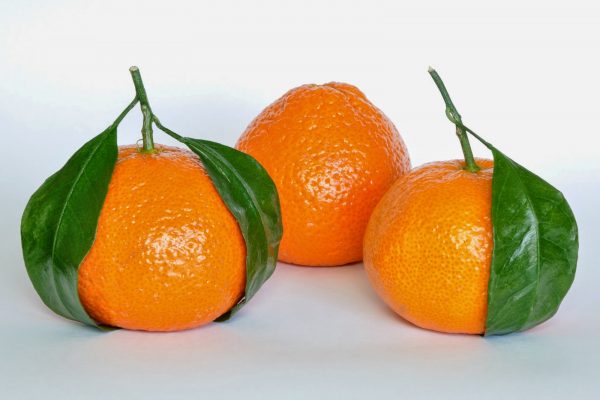 Nutrição e Nomes Regionais
3. Descubra os Benefícios da Laranja-Cravo para sua Saúde
4. Qual Tangerina Escolher? Cravo